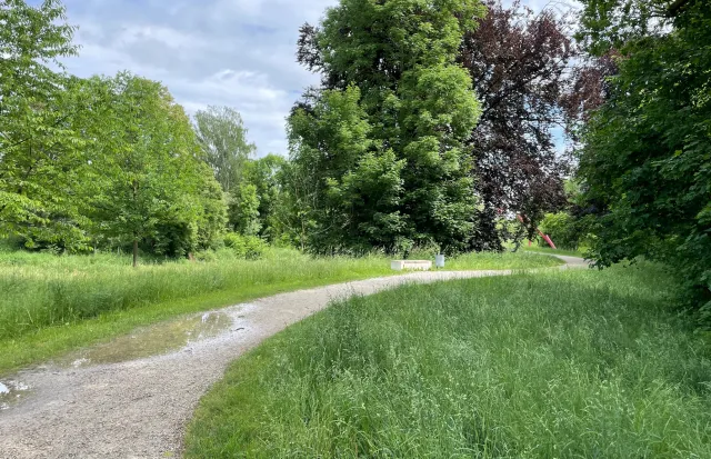 Naturlandschaft an der Paar