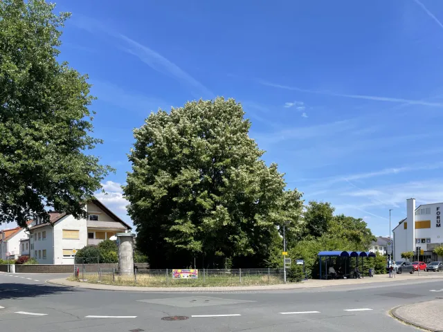 Blick an der Kreuzung